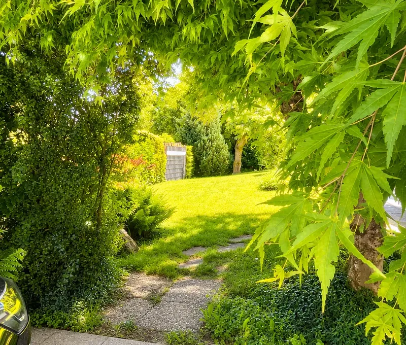 Gruener Gartenweg am Haus am See mit dichter Bepflanzung.